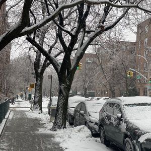 Meet your Posher, Geraldine